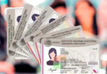 INE incorpora identidad de género y diversidad en credencial para votar.