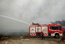 Sofocan incendio en Guayabal sin víctimas ni daños.