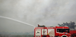 Sofocan incendio en Guayabal sin víctimas ni daños.