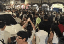 Gallo universitario de la UJAT: fiesta fuera de control.