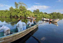 Despliegan operativo con 350 trabajadores por derrame en Paraíso.