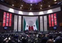 Diputados frenan pensiones millonarias en empresas públicas.