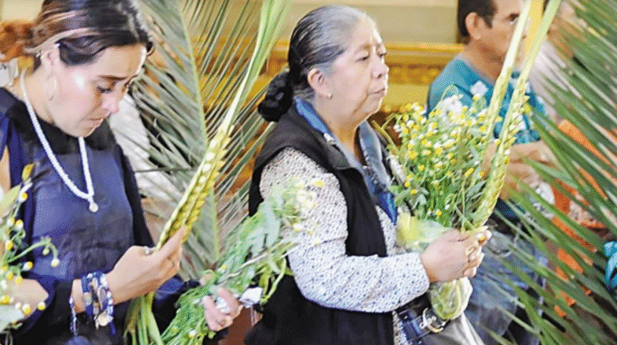 Captura de pantalla 2026-03-29 a la(s) 11.52.11 p.m.