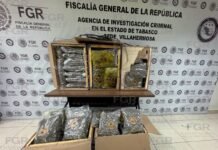 Decomisan 88 kilos de droga en Frontera, Centla.
