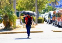Salud llama a prevenir riesgos por calor extremo.