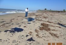 Refuerzan vigilancia ambiental por hidrocarburos en costas tabasqueñas.