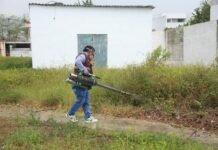 Salud refuerza prevención contra dengue y chikungunya en Tabasco.