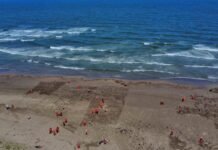 Refuerzan acciones por hidrocarburos en costas del Golfo.
