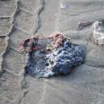 Destituyen funcionarios de Pemex por derrame en Golfo.