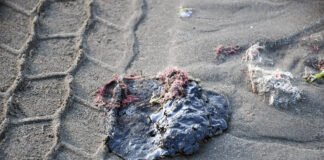 Destituyen funcionarios de Pemex por derrame en Golfo.