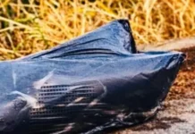 Hallan restos humanos embolsados en Tamulté Sabina.