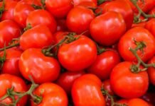 Tomate se dispara en Tabasco y golpea bolsillos.