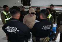 Definirán situación de Hernán ‘N’ el 4 abril: FGE