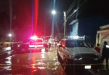 Abuela mata a yerno tras ataque violento.