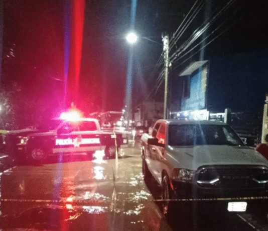 Abuela mata a yerno tras ataque violento.