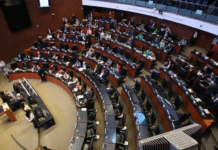 Proponen ley nacional para castigar feminicidio con hasta 70 años.