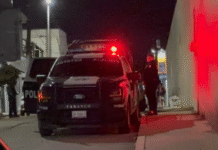 Hallan cabeza en nevera en Tierra Colorada.