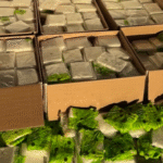 Decomisan droga millonaria y detienen a dos.