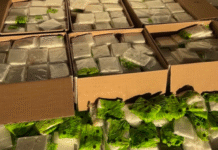 Decomisan droga millonaria y detienen a dos.