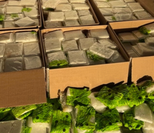 Decomisan droga millonaria y detienen a dos.