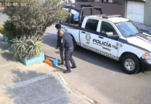 Detienen a policías por robo millonario en CDMX.