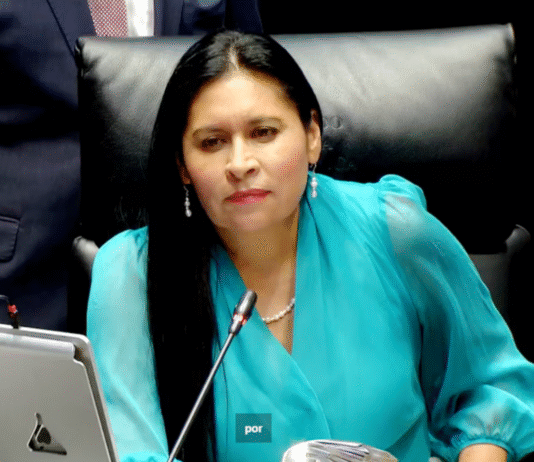 Senadora Rivera genera polémica al compararse con Goku.