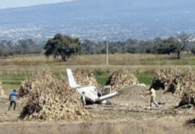 Avioneta cae en Puebla; deja tres muertos.