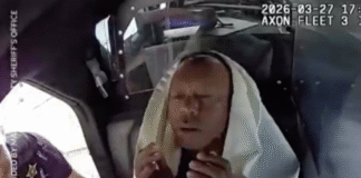 Difunden video del accidente de Tiger Woods.