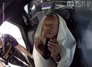 Difunden video del accidente de Tiger Woods.