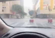 Robots de compras protagonizan curioso incidente en avenida.