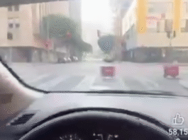 Robots de compras protagonizan curioso incidente en avenida.