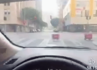 Robots de compras protagonizan curioso incidente en avenida.