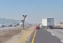 Trailero descarrila a auto pequeño en carretera 57.