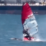 Windsurfista choca con ballena y sale ileso.