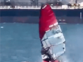 Windsurfista choca con ballena y sale ileso.