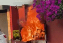 Incendio en Campestre de central de carga.