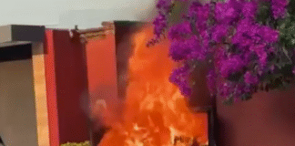 Incendio en Campestre de central de carga.