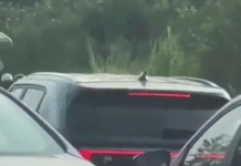 Captan asalto en puente a Indeco; hay detenidos.