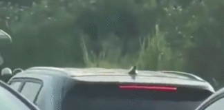 Captan asalto en puente a Indeco; hay detenidos.