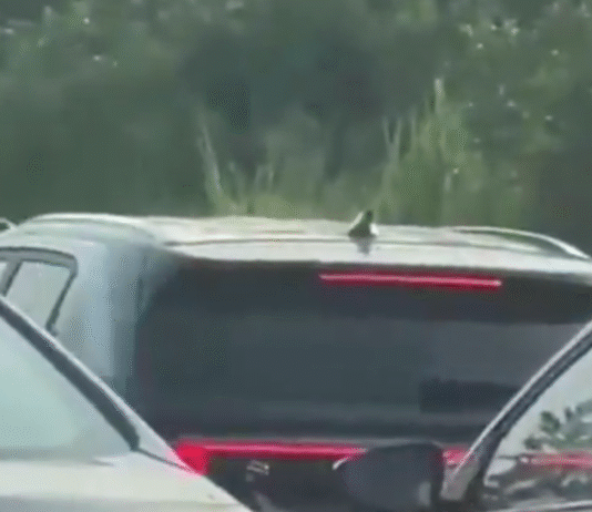 Captan asalto en puente a Indeco; hay detenidos.