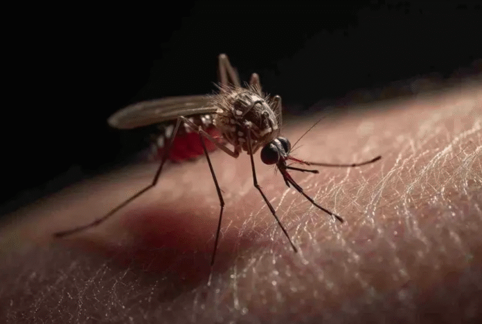 Captura de pantalla 2026-04-05 a la(s) 10.16.04 p.m.