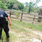 Hallan cuerpo con violencia en carretera de Balancán.