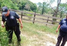 Hallan cuerpo con violencia en carretera de Balancán.