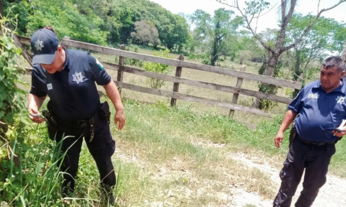 Captura de pantalla 2026-04-05 a la(s) 10.50.19 p.m.