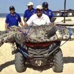 Capturan cocodrilo gigante en playa turística de Oaxaca.