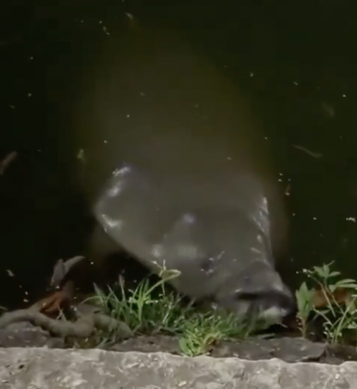 Captura de pantalla 2026-04-09 a la(s) 1.40.29 a.m.