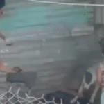 Indigna brutal maltrato animal en La Lima.