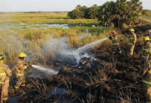 Controlan incendio en Pantanos de Centla.