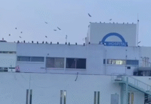IMSS Bienestar descarta riesgos por aves en hospital Rovirosa.
