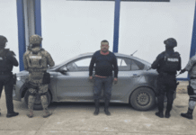 Cae con aves exóticas y queda vinculado por tráfico ilegal.